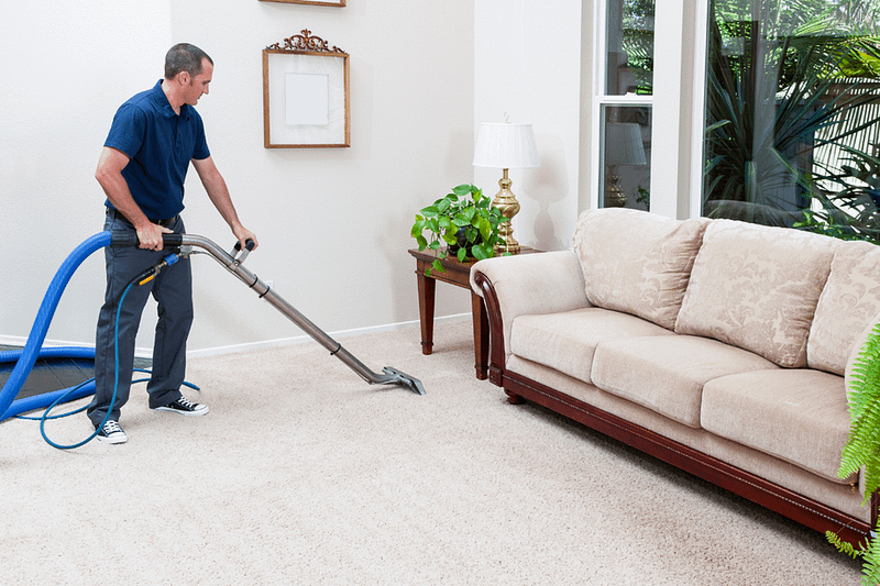 Reliable Carpet Cleaning Services In El Paso TX